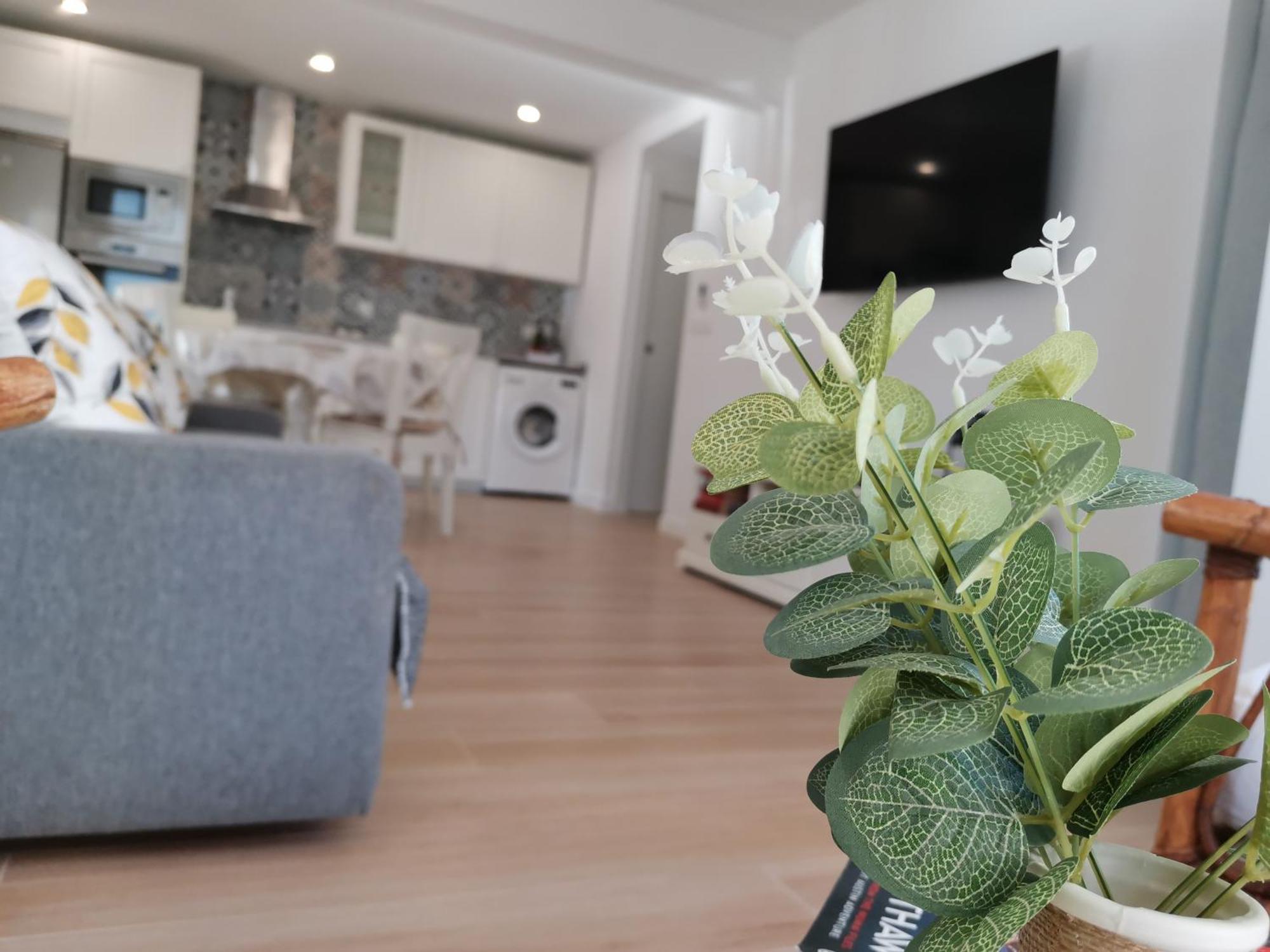 Adelmar Apartment เอลกัมเปโญ ภายนอก รูปภาพ
